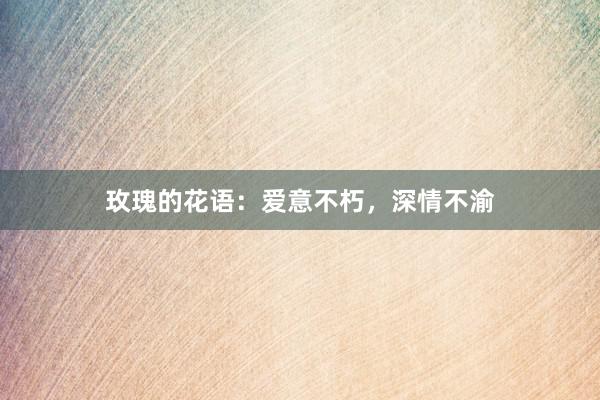 玫瑰的花语：爱意不朽，深情不渝