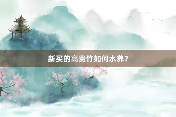 新买的高贵竹如何水养？