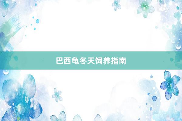 巴西龟冬天饲养指南