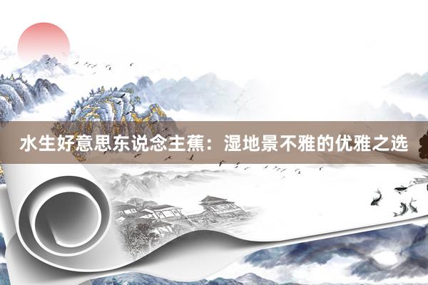 水生好意思东说念主蕉：湿地景不雅的优雅之选