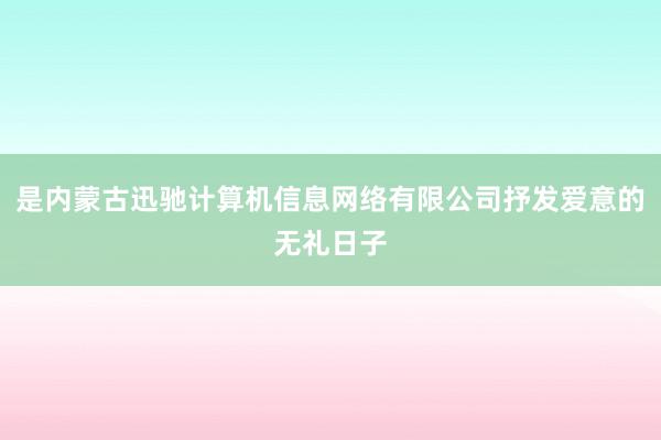 是内蒙古迅驰计算机信息网络有限公司抒发爱意的无礼日子