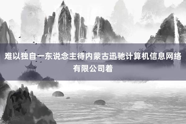 难以独自一东说念主待内蒙古迅驰计算机信息网络有限公司着
